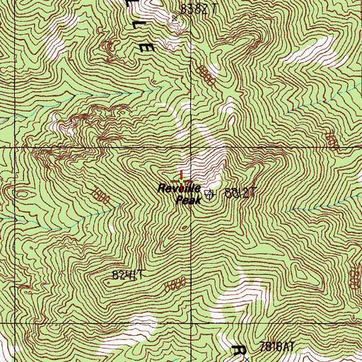 Topographic Map of Reveille Peak, NV