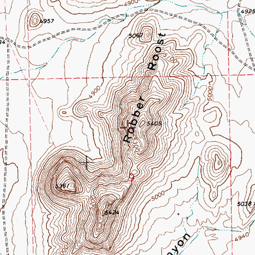 Topographic Map of Robber Roost Hills, NV
