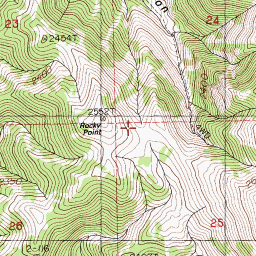 Topographic Map of Rocky Point, NV