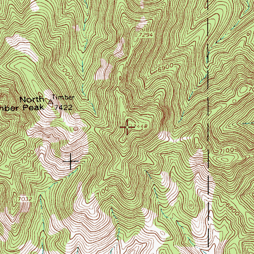 Topographic Map of Timber Mountain, NV