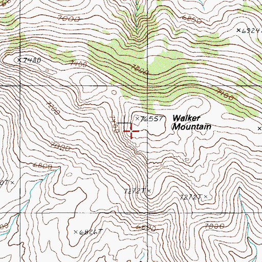 Topographic Map of Walker Mountain, NV