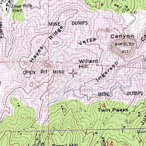 Topographic Map of Willard Hill, NV