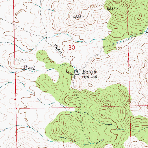 Topographic Map of Bailey Spring, NV