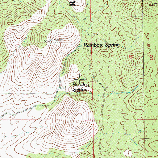 Topographic Map of Bootleg Spring, NV