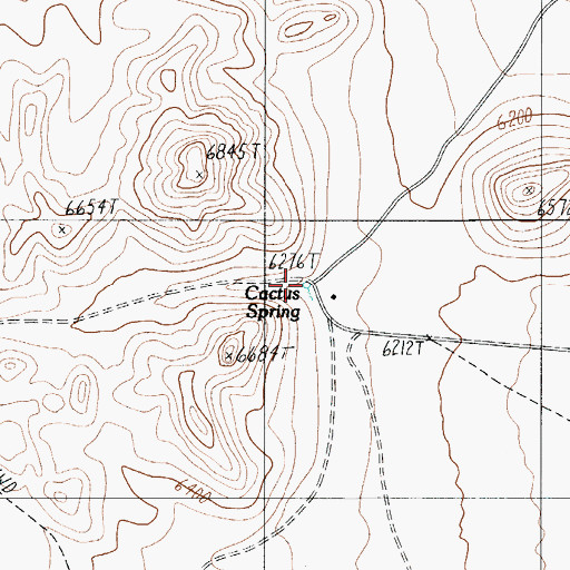 Topographic Map of Cactus Spring, NV