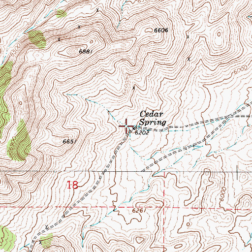 Topographic Map of Cedar Spring, NV