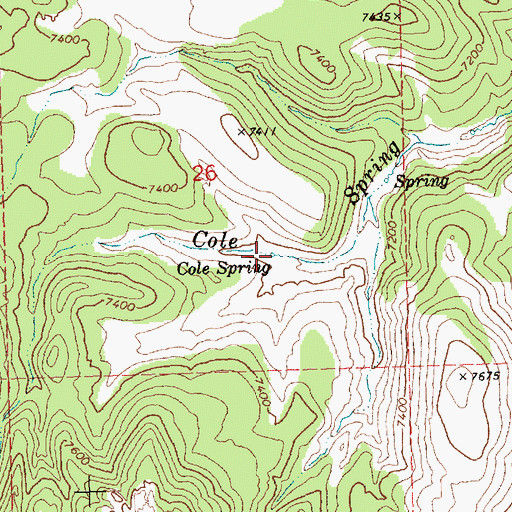 Topographic Map of Cole Spring, NV