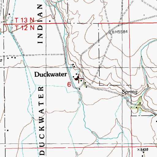 Topographic Map of Duckwater, NV