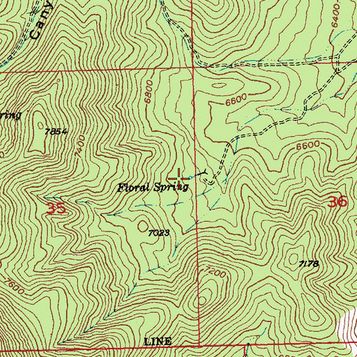 Topographic Map of Floral Spring, NV
