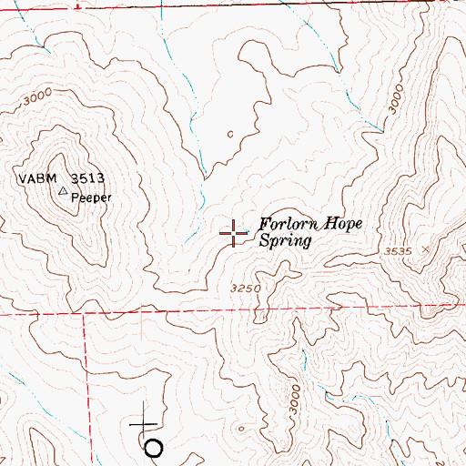 Topographic Map of Forlorn Hope Spring, NV