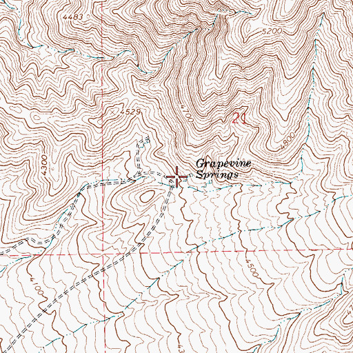 Topographic Map of Grapevine Springs, NV