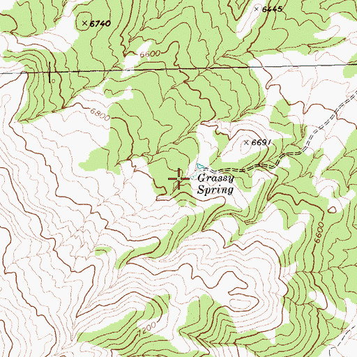 Topographic Map of Grassy Spring, NV