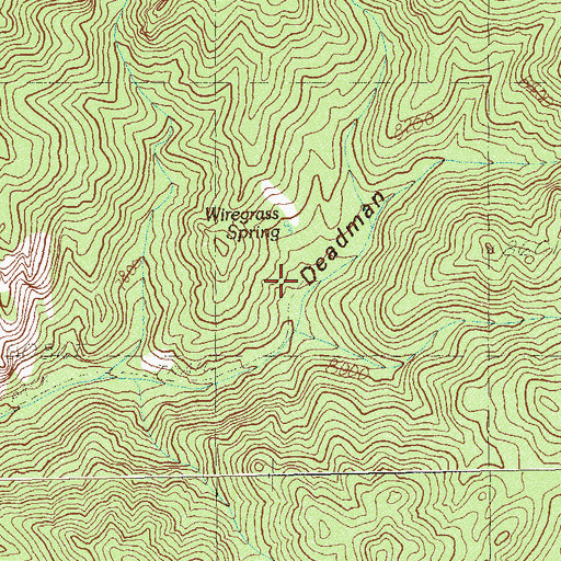 Topographic Map of Hidden Forest Cabin, NV