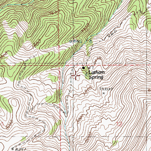 Topographic Map of Latham Spring, NV