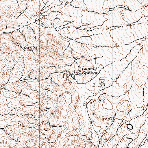 Topographic Map of Liberty Springs, NV