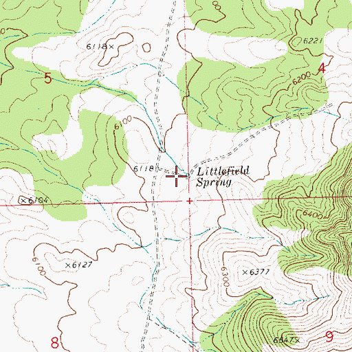 Topographic Map of Littlefield Spring, NV