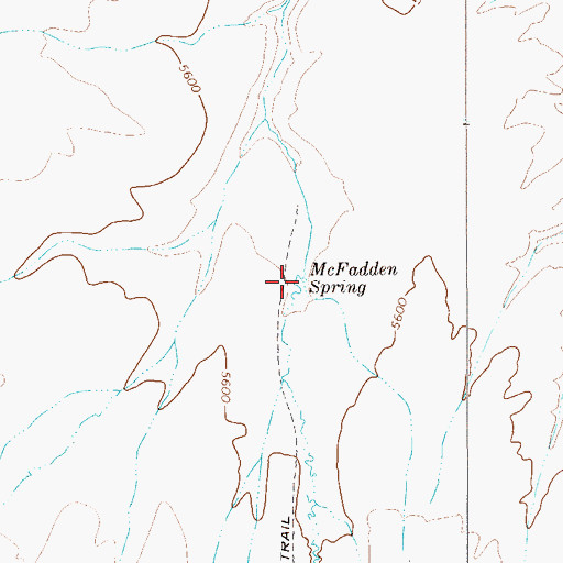 Topographic Map of McFadden Spring, NV