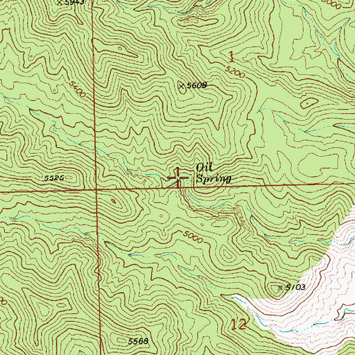 Topographic Map of Oil Spring, NV