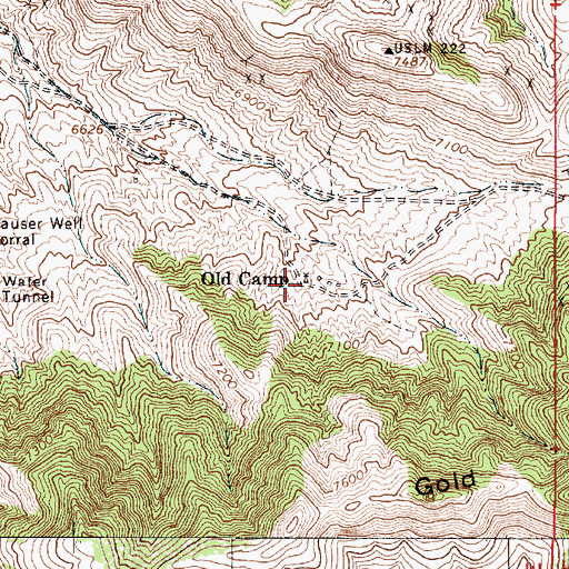 Topographic Map of Old Camp, NV
