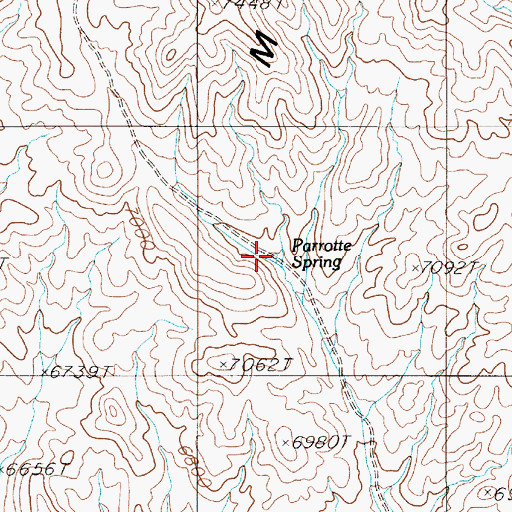 Topographic Map of Parrotte Spring, NV