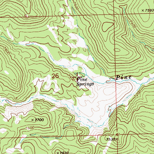 Topographic Map of Pine Springs, NV