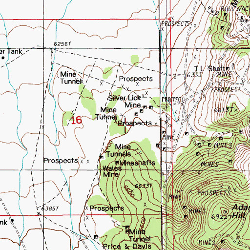 Topographic Map of Silver Lick Mine, NV