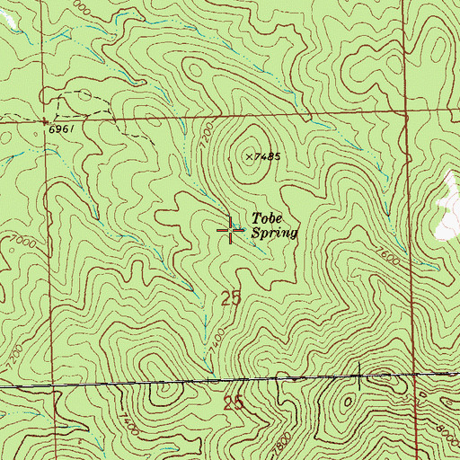 Topographic Map of Tobe Spring, NV