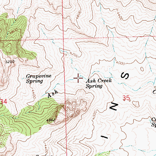 Topographic Map of Ash Creek Spring, AZ