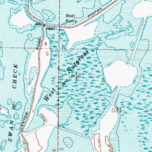 Topographic Map of West Nutgrass, NV