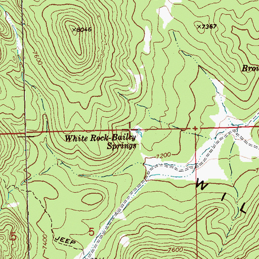 Topographic Map of White Rock-Bailey Springs, NV