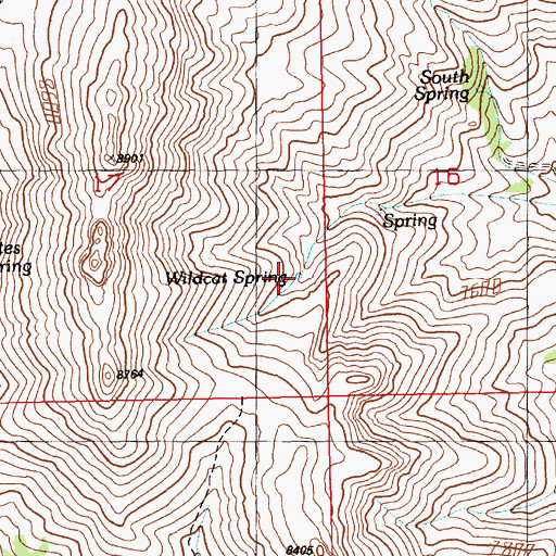 Topographic Map of Wildcat Spring, NV