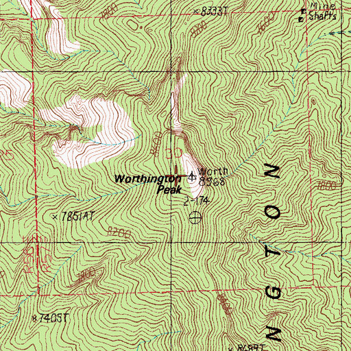Topographic Map of Worthington Peak, NV