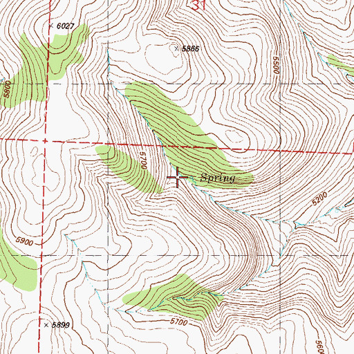 Topographic Map of Cottonwood Spring, NV