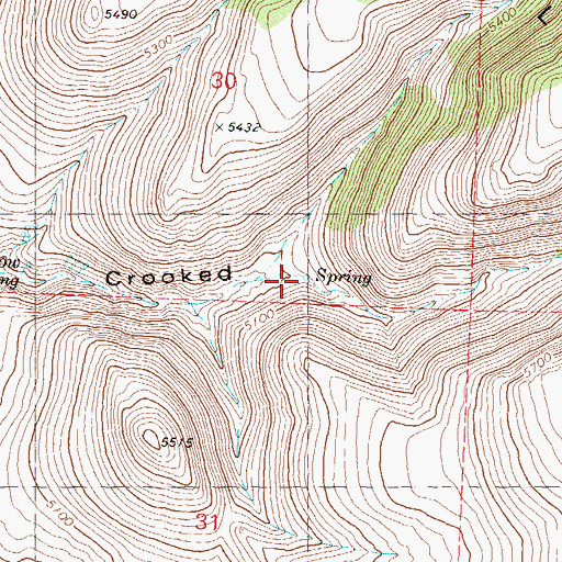 Topographic Map of Rosebush Spring, NV
