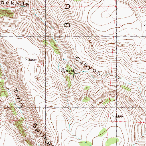 Topographic Map of Cottonwood Spring, NV