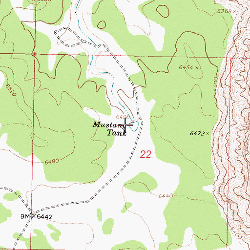 Topographic Map of Mustang Tank, AZ