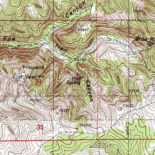 Topographic Map of Trail Spring, NV