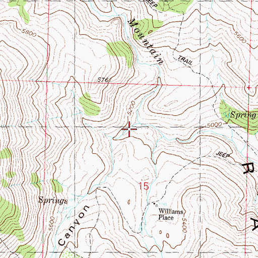 Topographic Map of South Fork Red Mountain Creek, NV