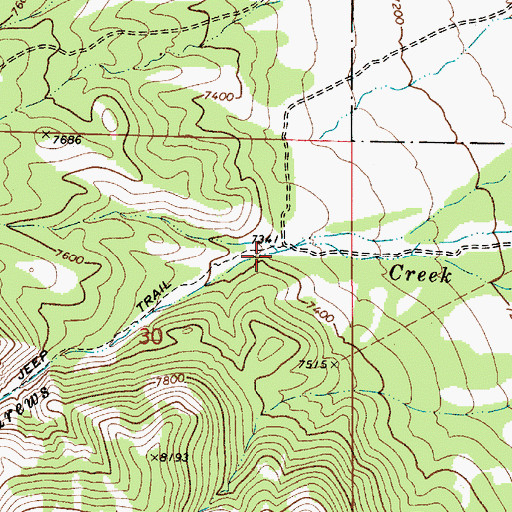 Topographic Map of Cow Creek, NV