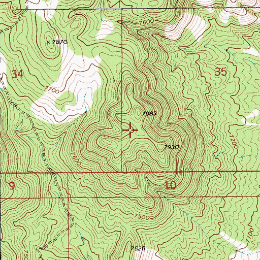 Topographic Map of Needle Range, NV