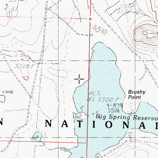Topographic Map of Bog Spring, NV