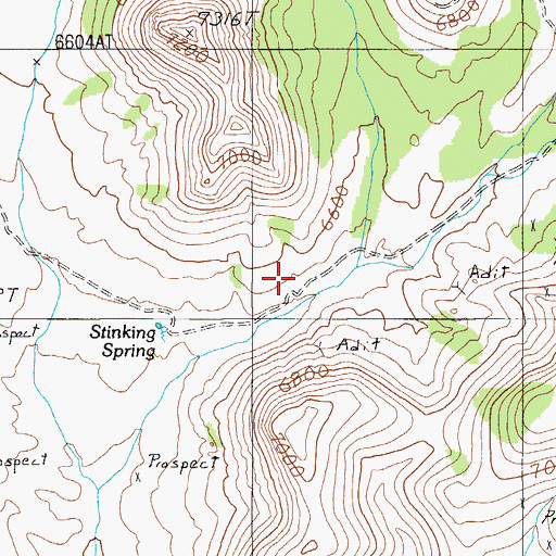 Topographic Map of Stinking Spring Cabin (historical), NV