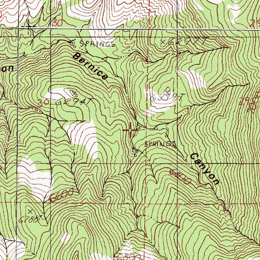 Topographic Map of Eagle Springs, NV