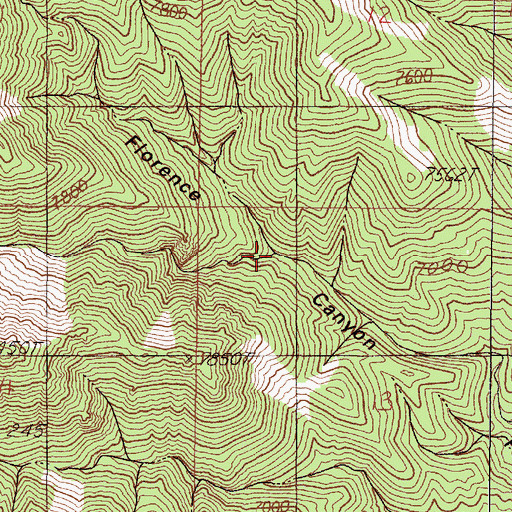 Topographic Map of North Fork Florence Canyon, NV