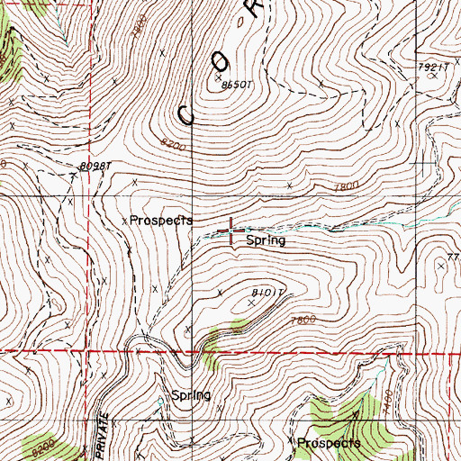 Topographic Map of Tub Spring, NV
