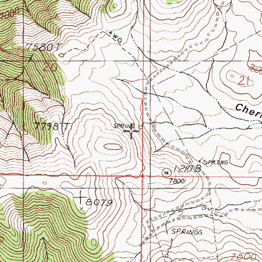 Topographic Map of Summit Spring, NV