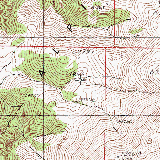 Topographic Map of Sagehen Spring, NV