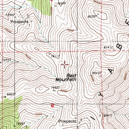 Topographic Map of Goyeneche Spring Number Nine, NV