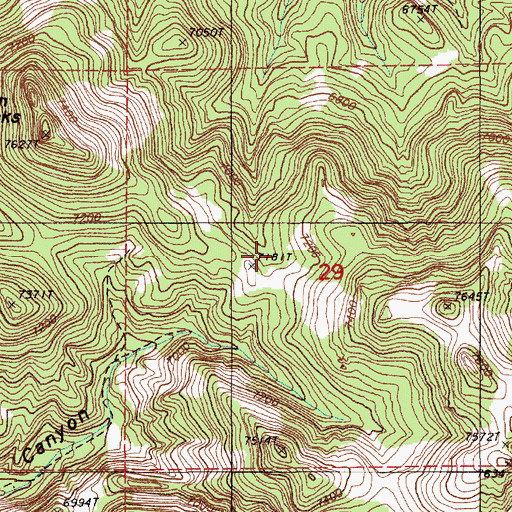Topographic Map of Cottonwood Spring, NV