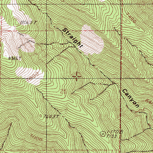 Topographic Map of Straight Canyon Spring, NV